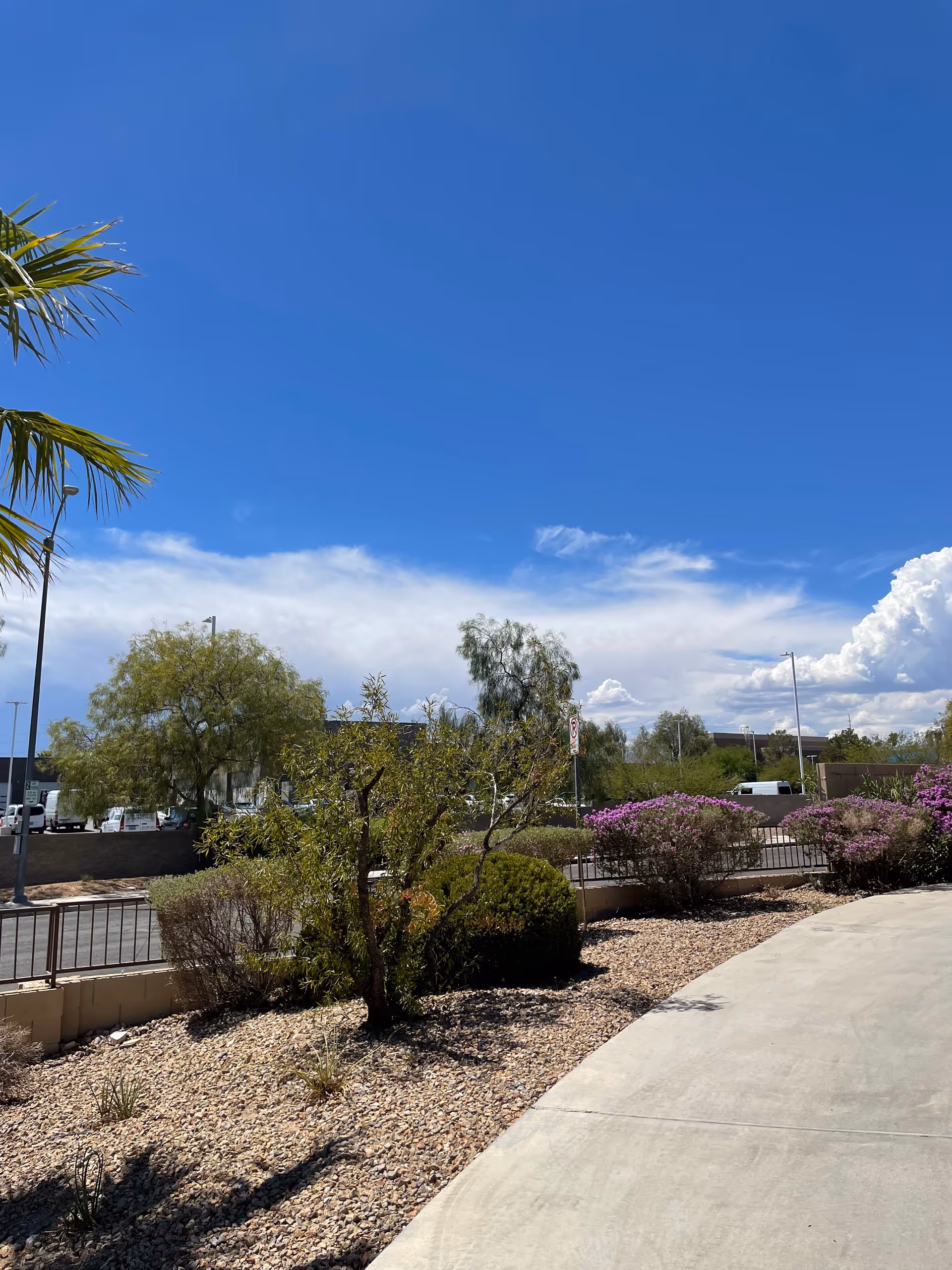 Outdoor view of Nevada Memory Care's landscaped courtyard with shrubs and blue sky