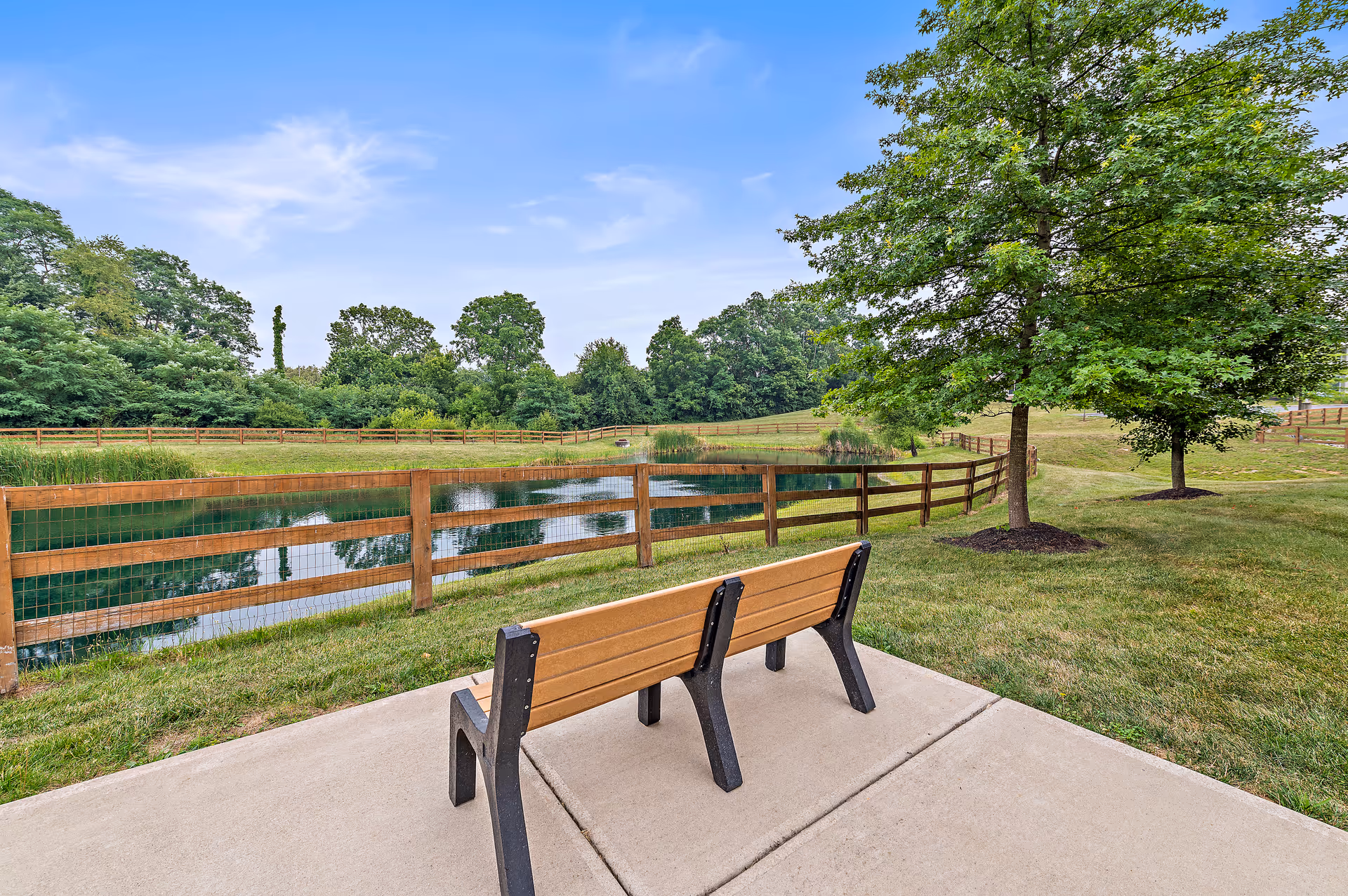 Two wooden benches overlook a pond surrounded by green grass and trees.