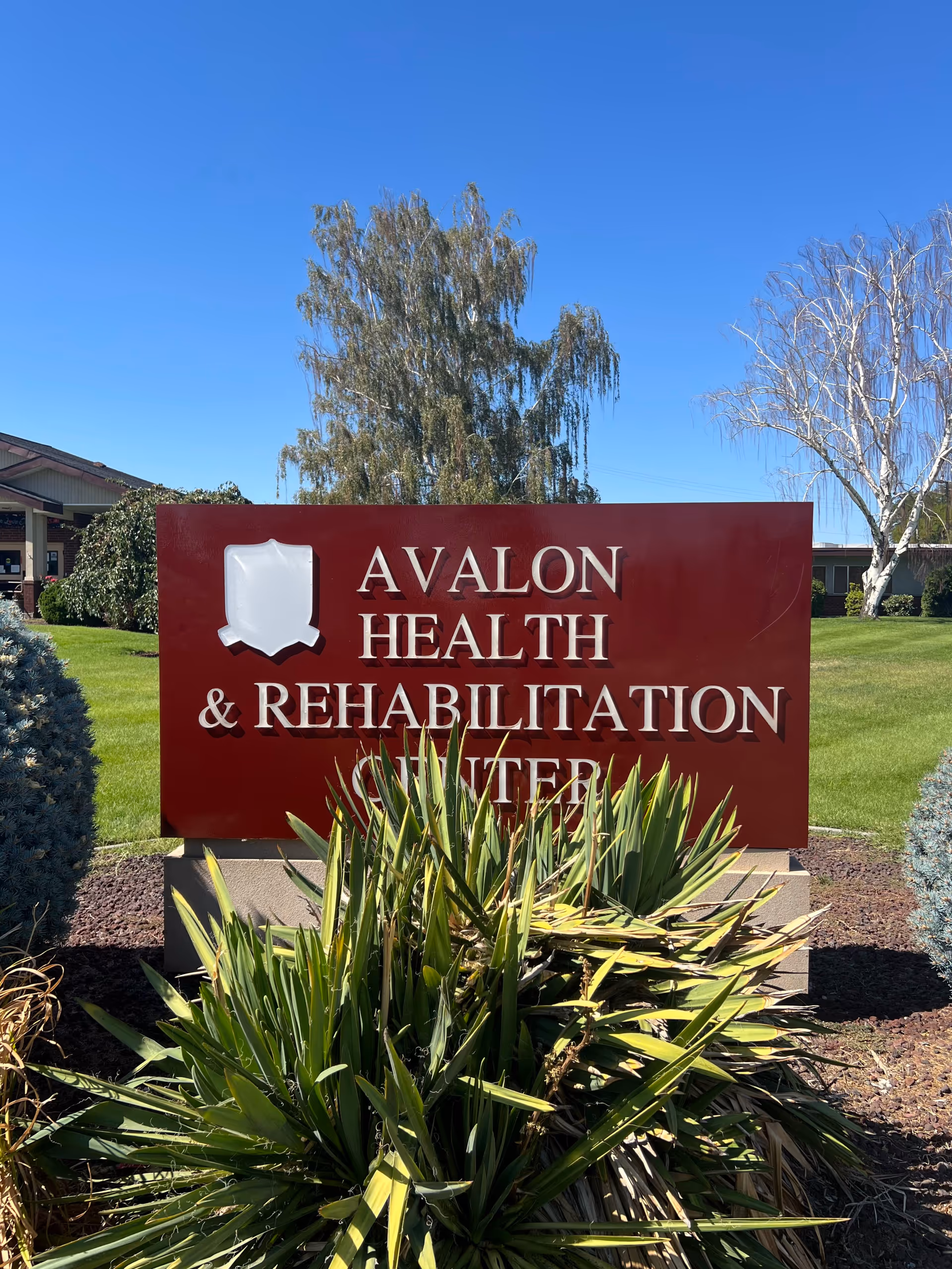 A large maroon Avalon Health and Rehabilitation Center sign outdoors with landscaping.