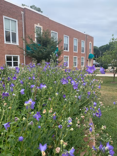 Brick senior living facility with a purple flower garden in the foreground.