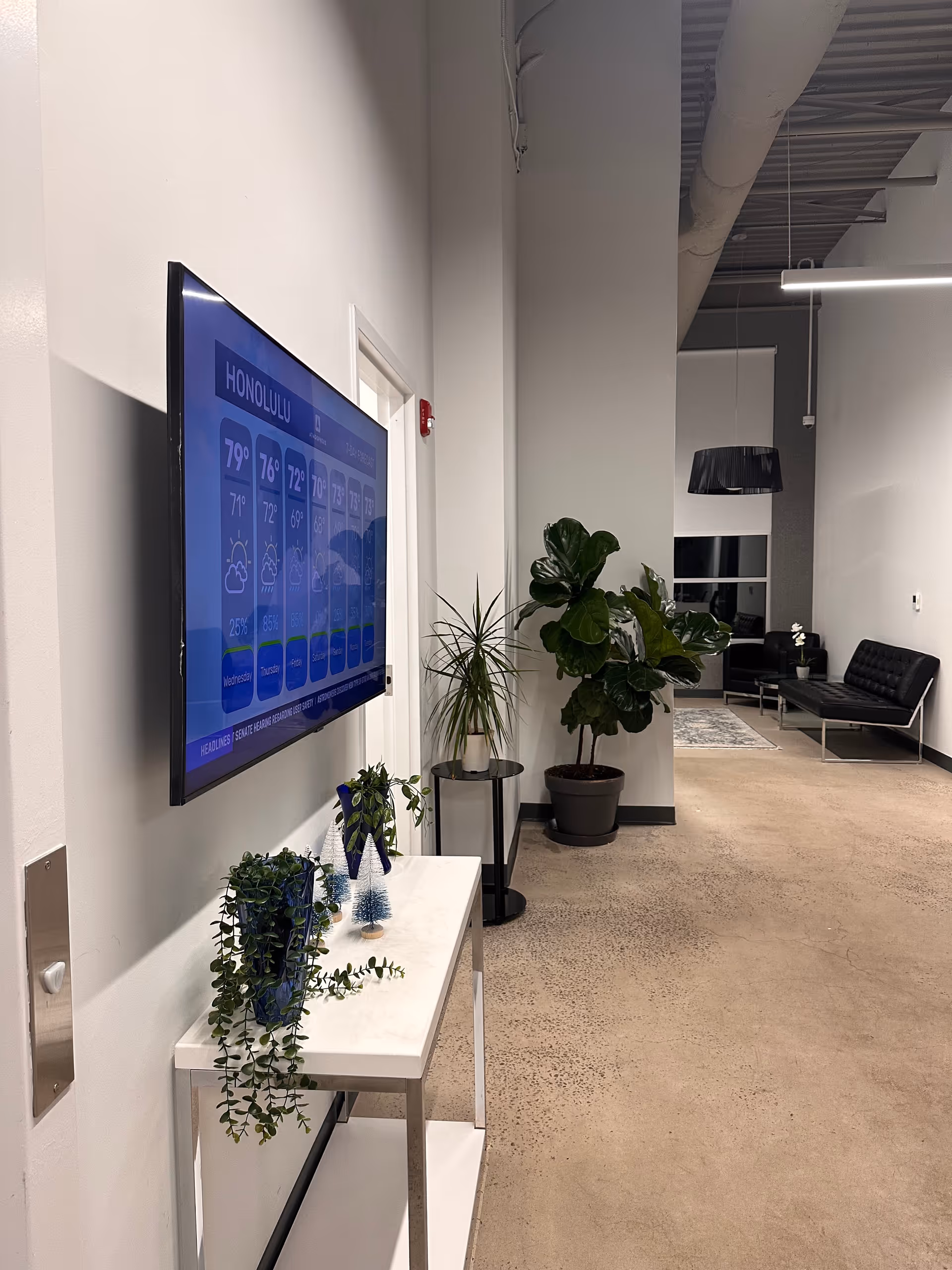 Interior hallway with a mounted screen, multiple potted plants, and a seating area in the distance.
