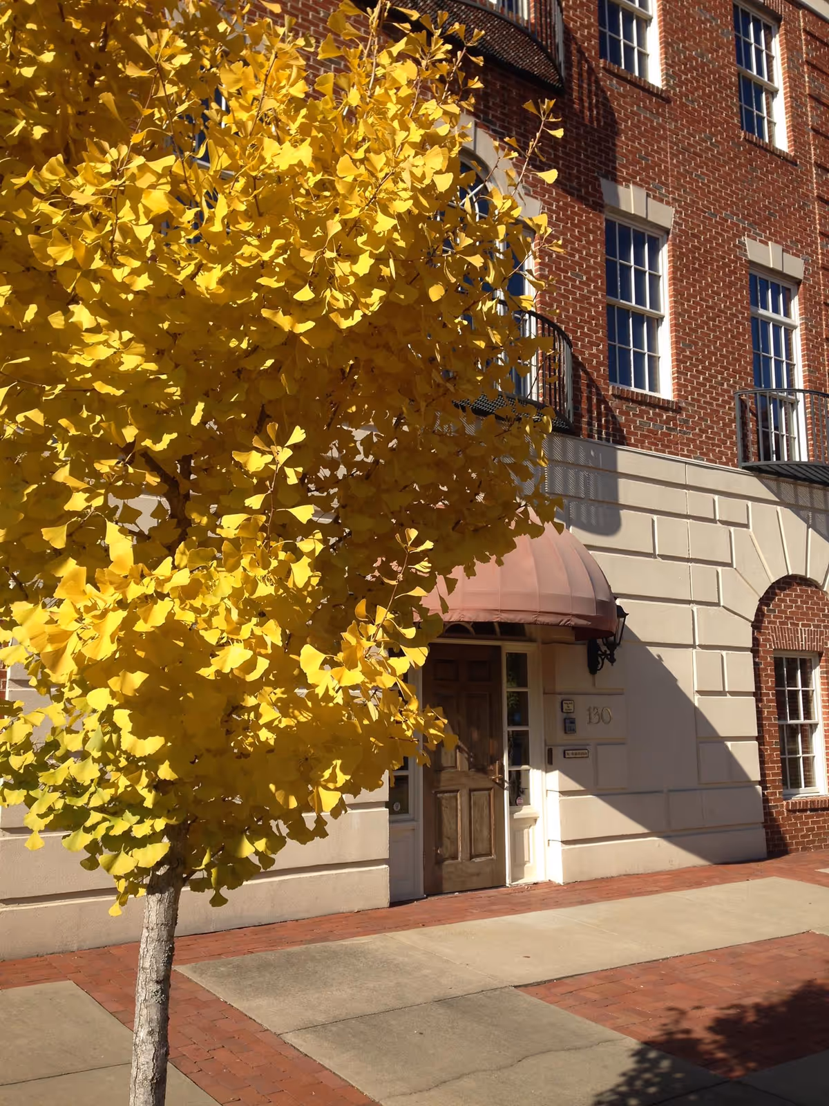 Front entrance of a brick building with a pink awning and a yellow-leafed tree in front.
