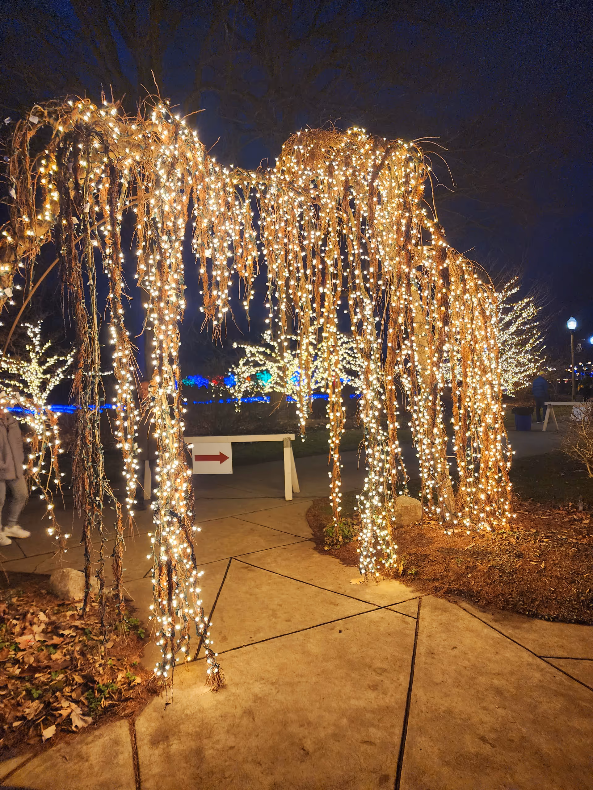 Outdoor walkway archways adorned with warm string lights at night.