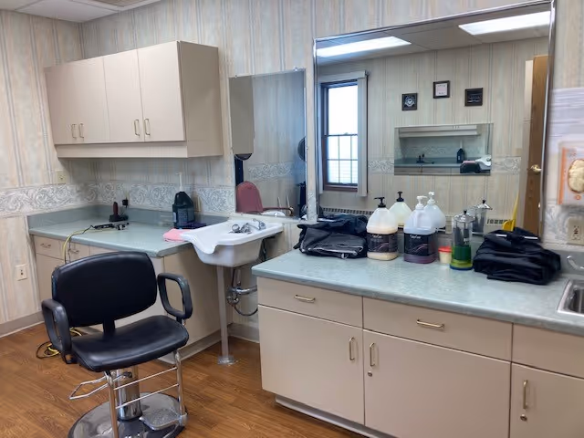 Interior view of a small salon or grooming area with a black salon chair, a white sink, countertop with various bottles of hair or skin products, cabinets, and a mirror reflecting part of the room and window.
