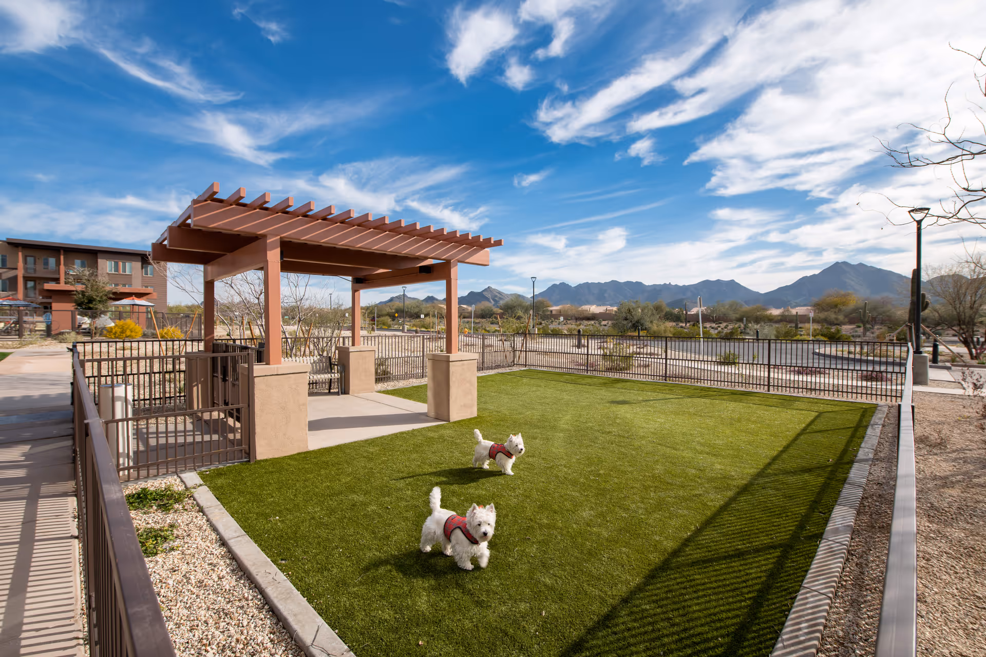 Outdoor fenced dog park area with artificial grass, a shaded pergola with seating, two small white dogs wearing red harnesses, and a backdrop of mountains under a partly cloudy blue sky at Revel McDowell Mountain facility.