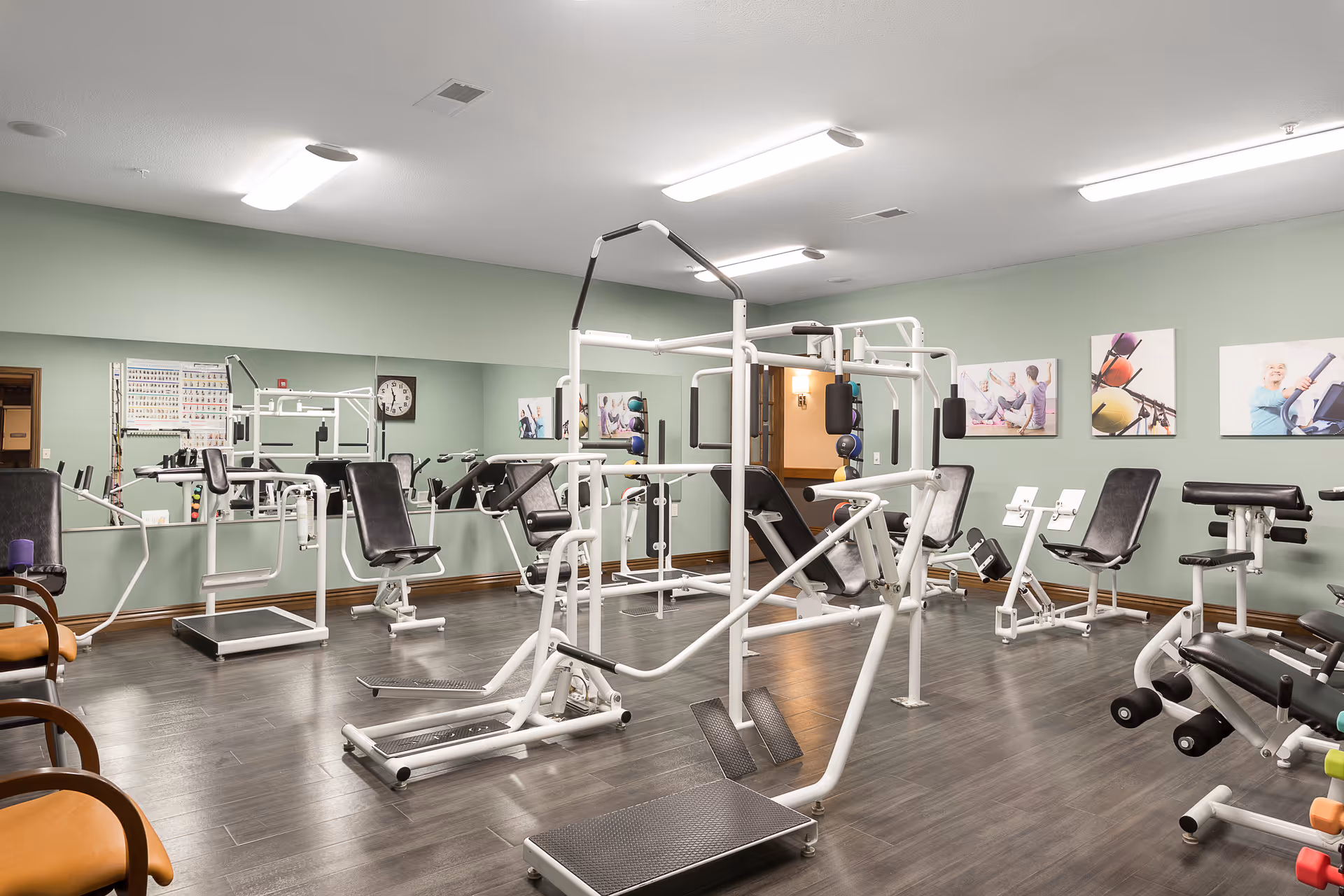 Bright senior fitness center with gym equipment and weights arranged in a green-walled room.