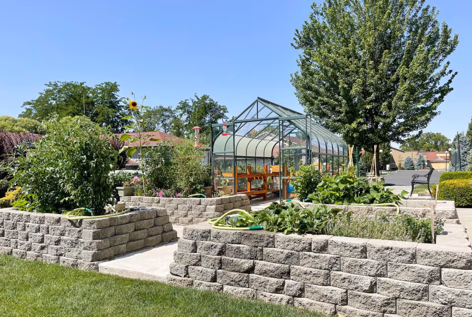 Outdoor garden area with raised stone planter beds filled with various green plants and vegetables. A glass greenhouse structure is visible in the background, along with a tree, a bench, and a clear blue sky.