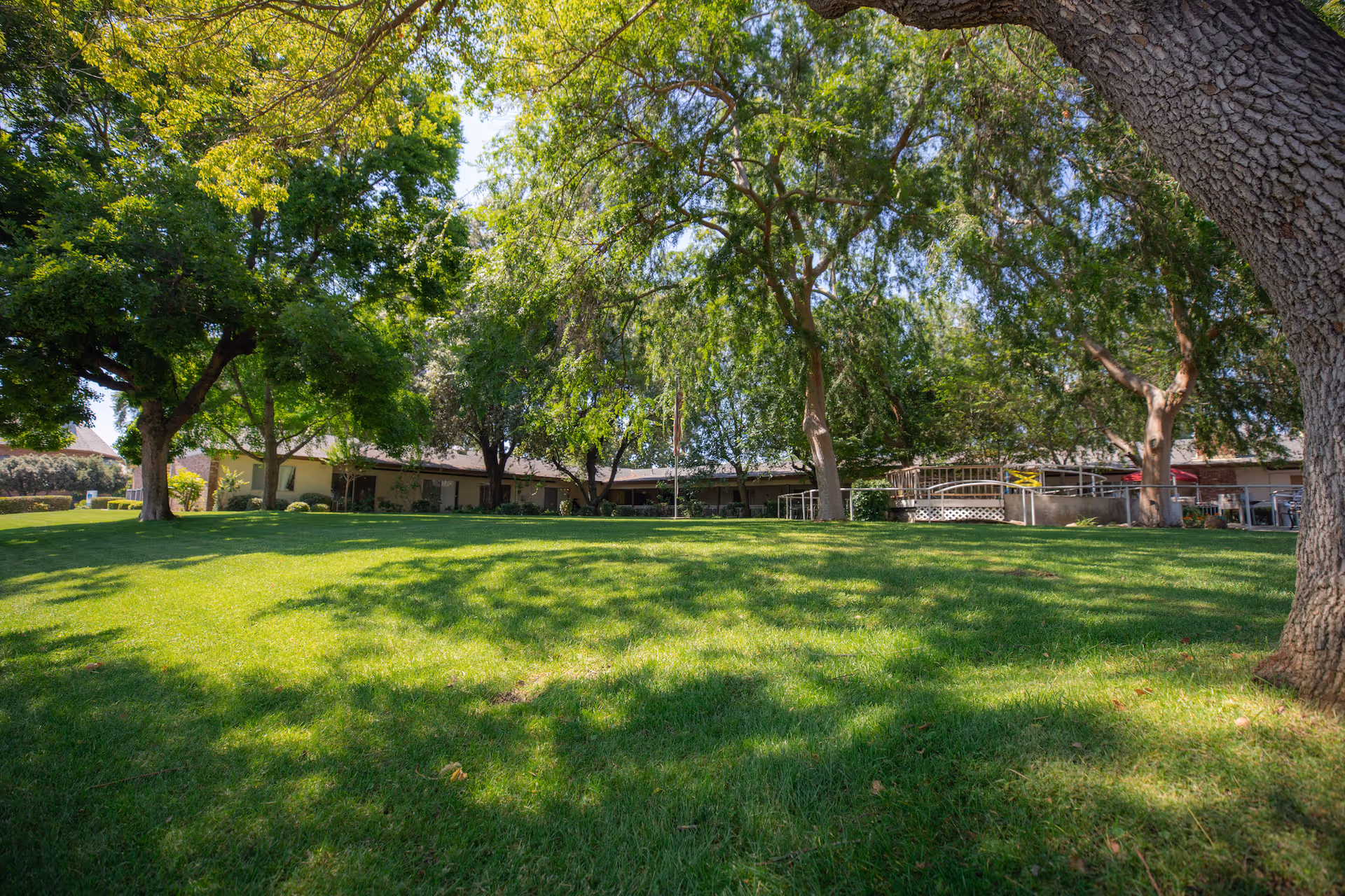 A spacious green lawn with several large trees providing shade in front of a single-story building, under a clear blue sky.