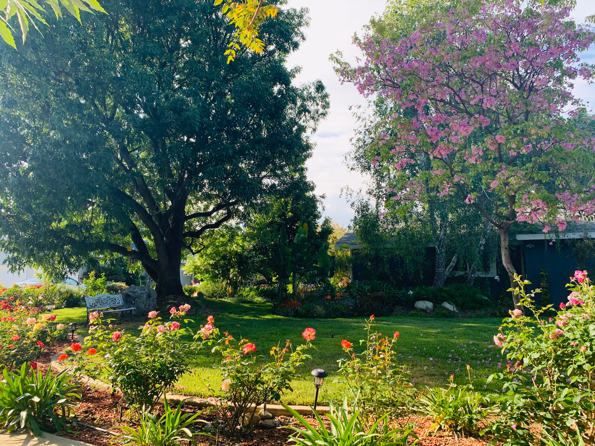 A well-maintained outdoor garden with trees, blooming flowers, and a bench by a residential building.