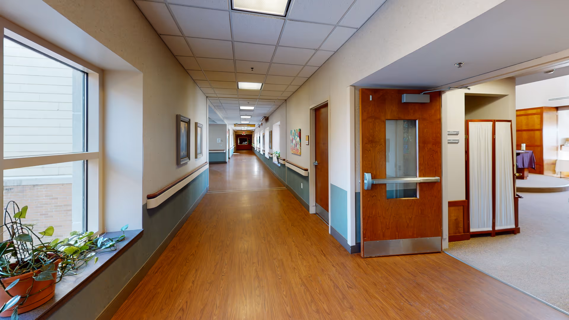 Long hallway with wood-like flooring, doors, windows, and potted plants.