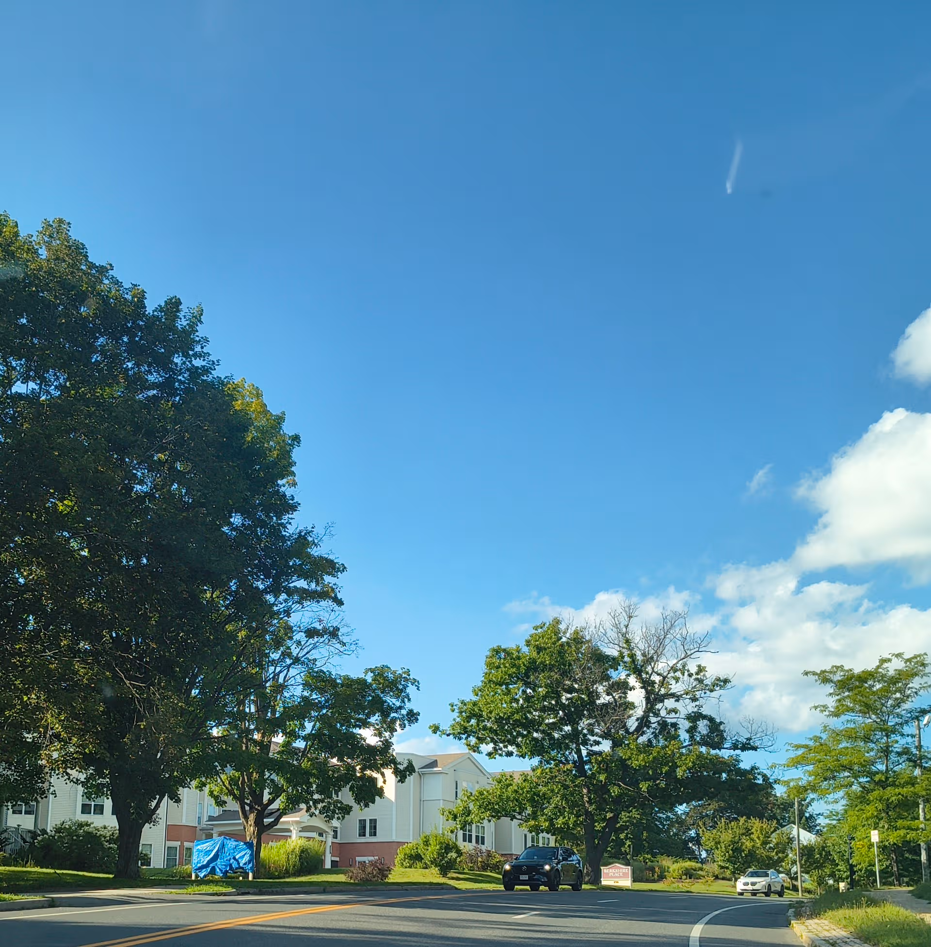 Tree-lined street in front of a Berkshire Place building under a bright blue sky.