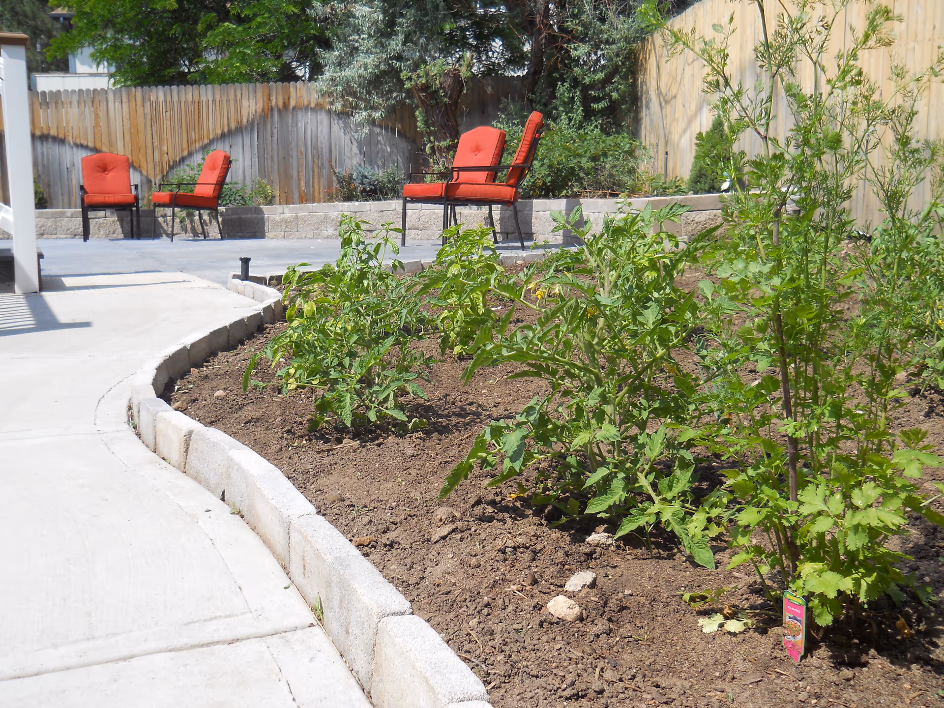 Outdoor patio with red cushioned chairs, curved concrete path, and raised garden beds.