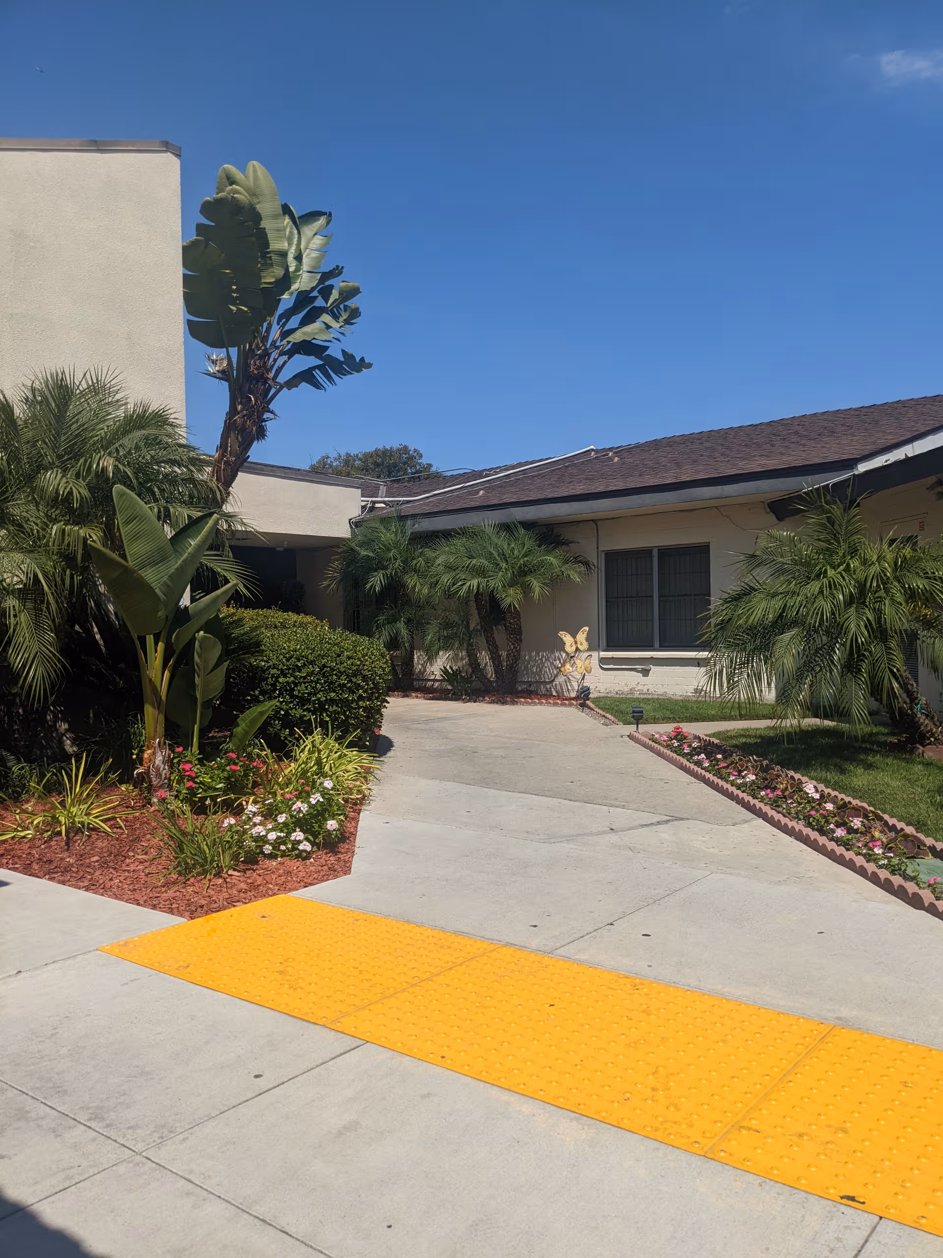 Sunlit facility entrance with walkway, tropical plants, and a yellow tactile paving strip.