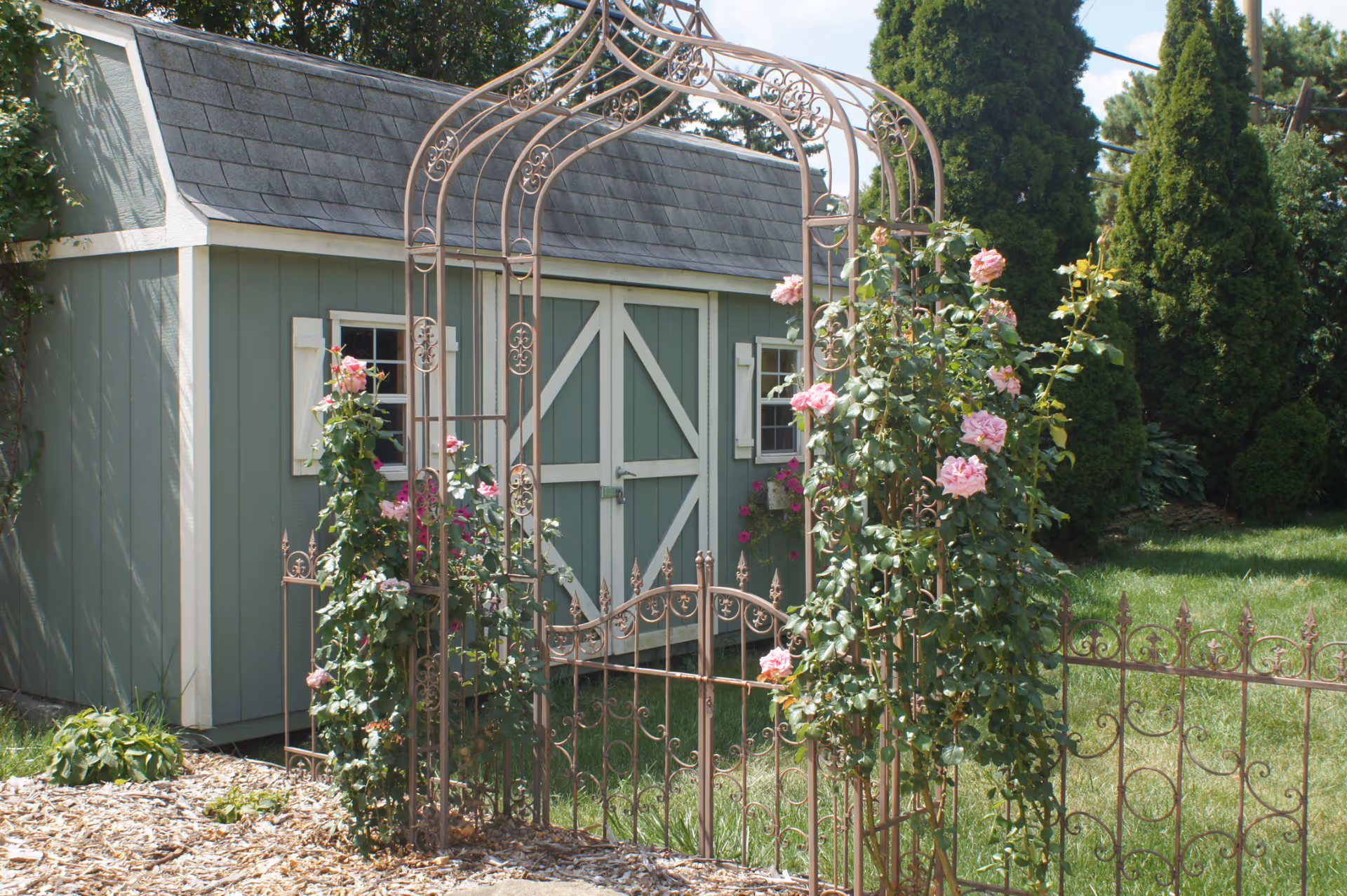 Green shed with decorative iron arch, rose bushes, and a metal fence in a garden.