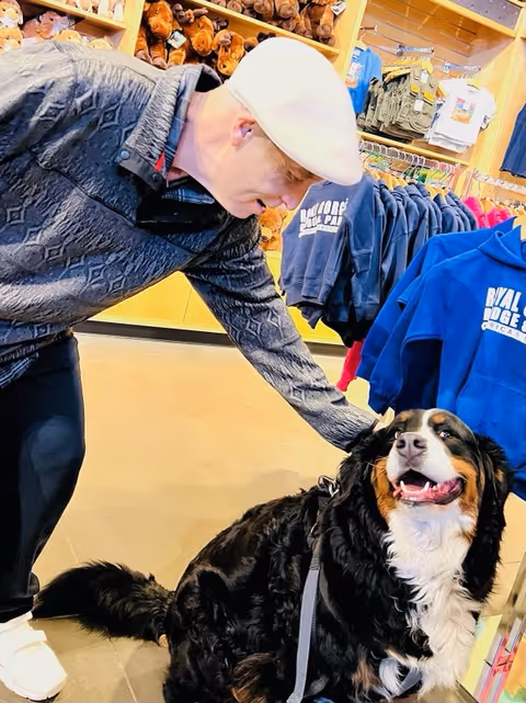Elderly man in a cap leans toward a large Bernese dog inside a clothing store.