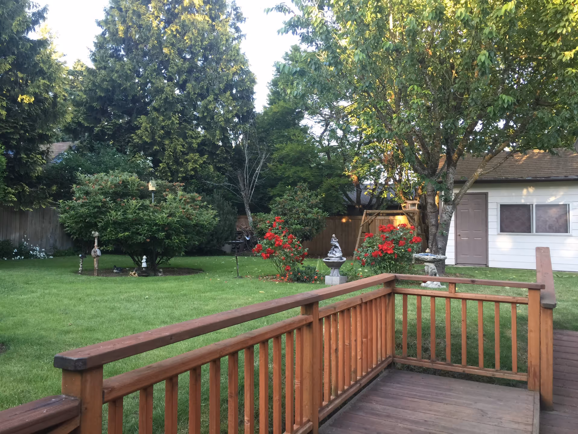A backyard garden area with a wooden deck railing in the foreground, green grass, various trees and bushes, red flowering plants, garden statues, and a white shed with a brown door and window in the background.
