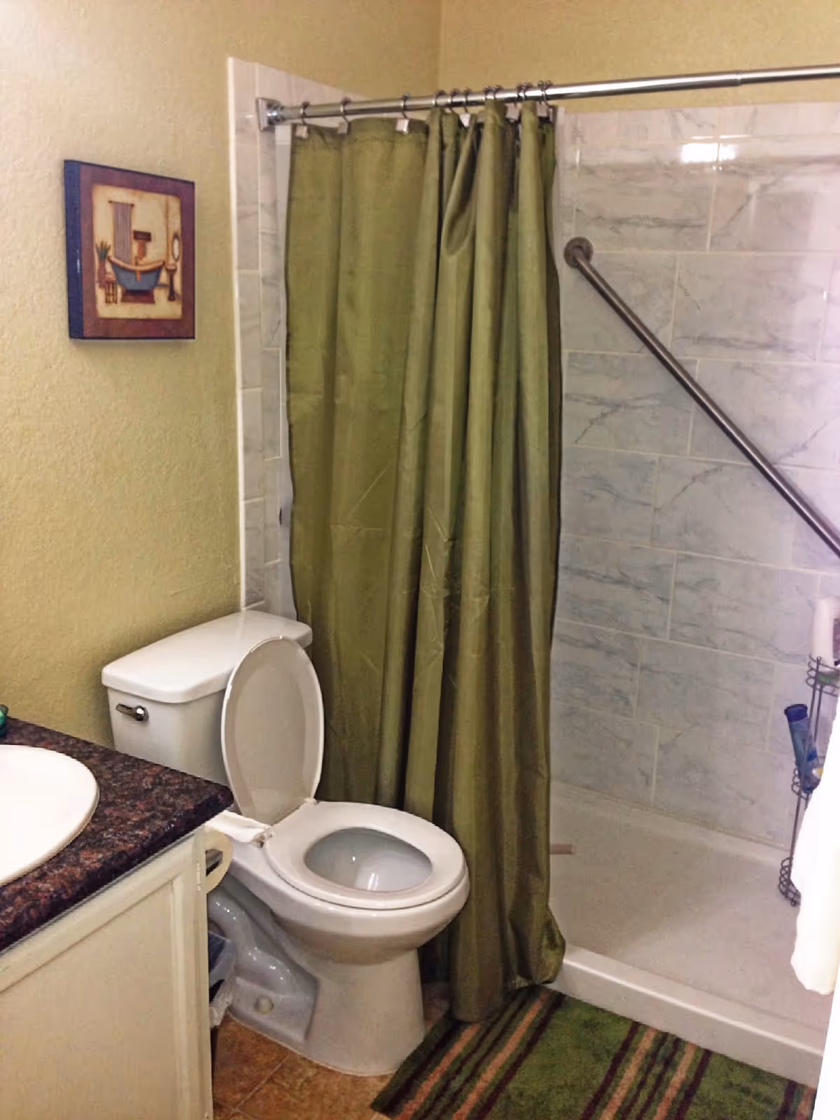 Bathroom with toilet, sink, tub/shower, green curtain, and striped rug.