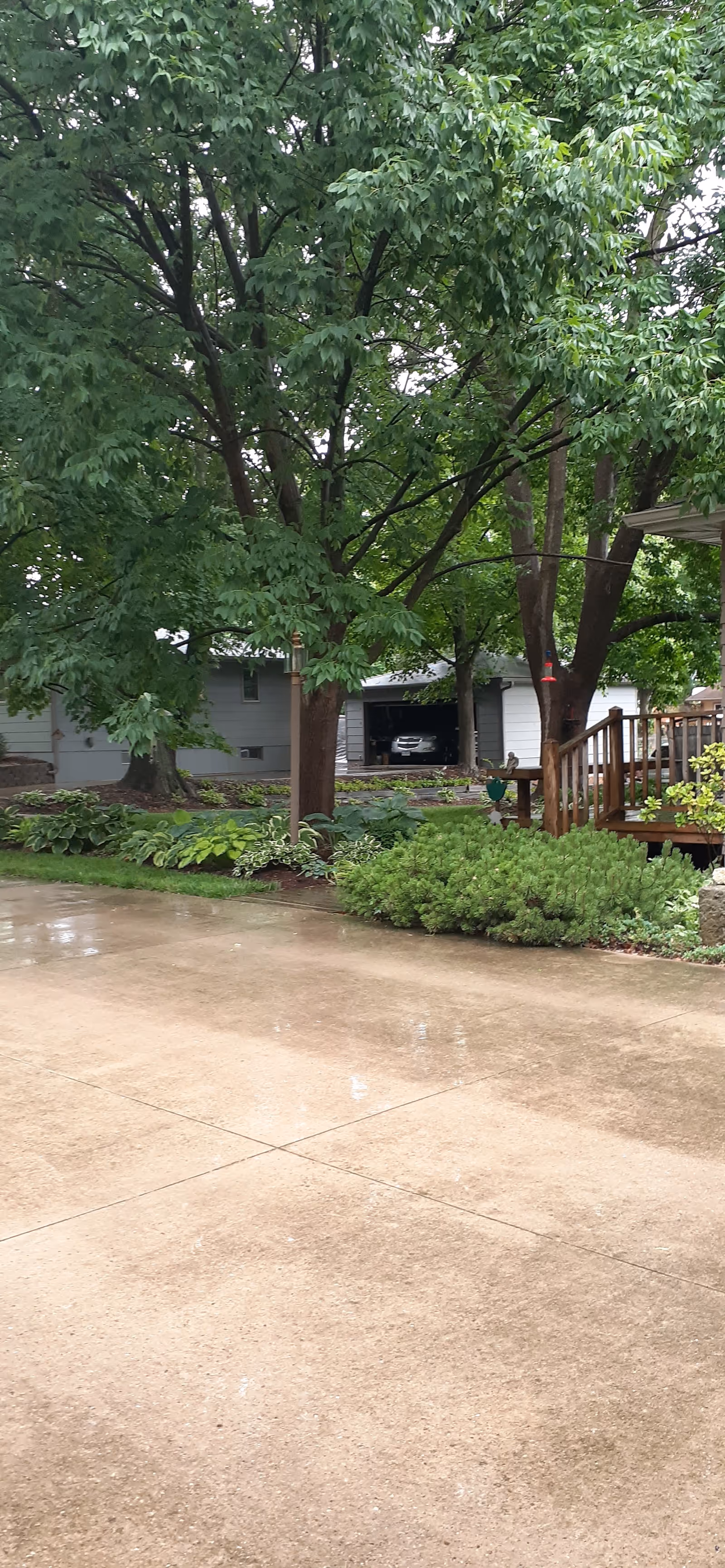 Outside view of Prestige Care Center of Fairfield building with trees, driveway, and wooden deck.