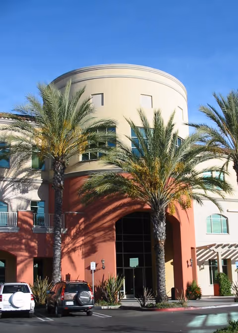 Curved beige building entrance framed by tall palm trees and parked cars.