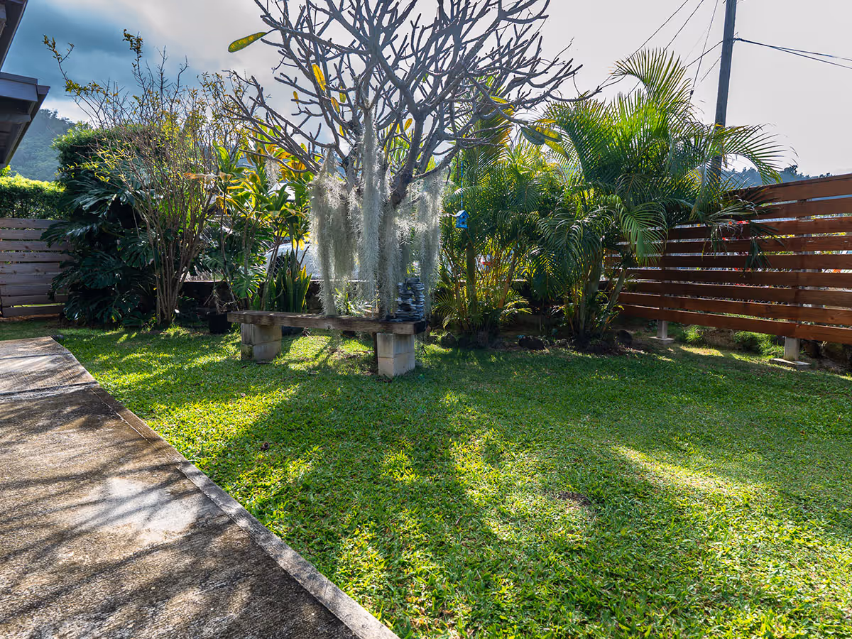 A lush outdoor courtyard with a bench, trees, and a wooden privacy fence.
