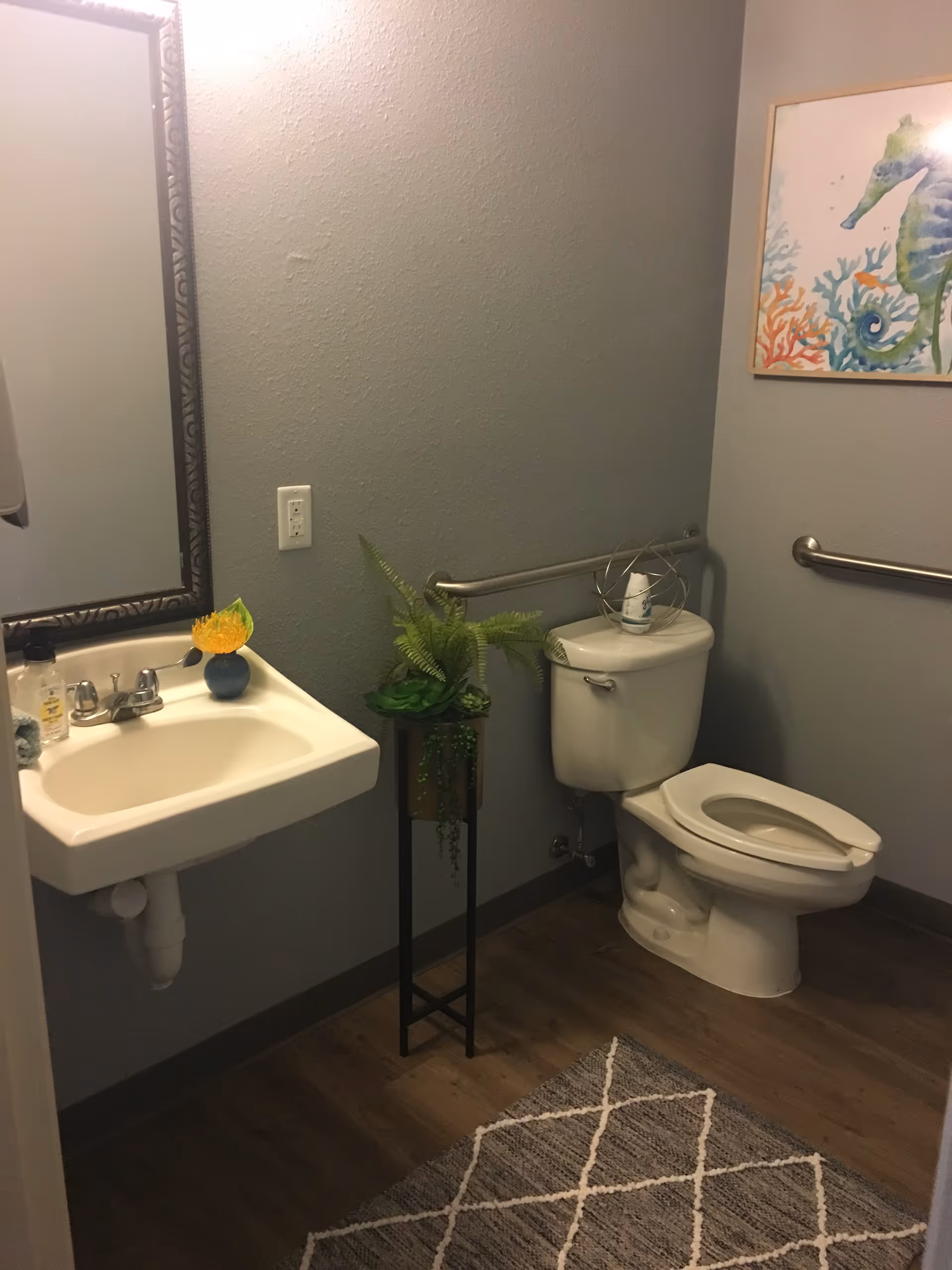 A small bathroom featuring a sink, toilet, grab bars, plant, rug, and wall art.