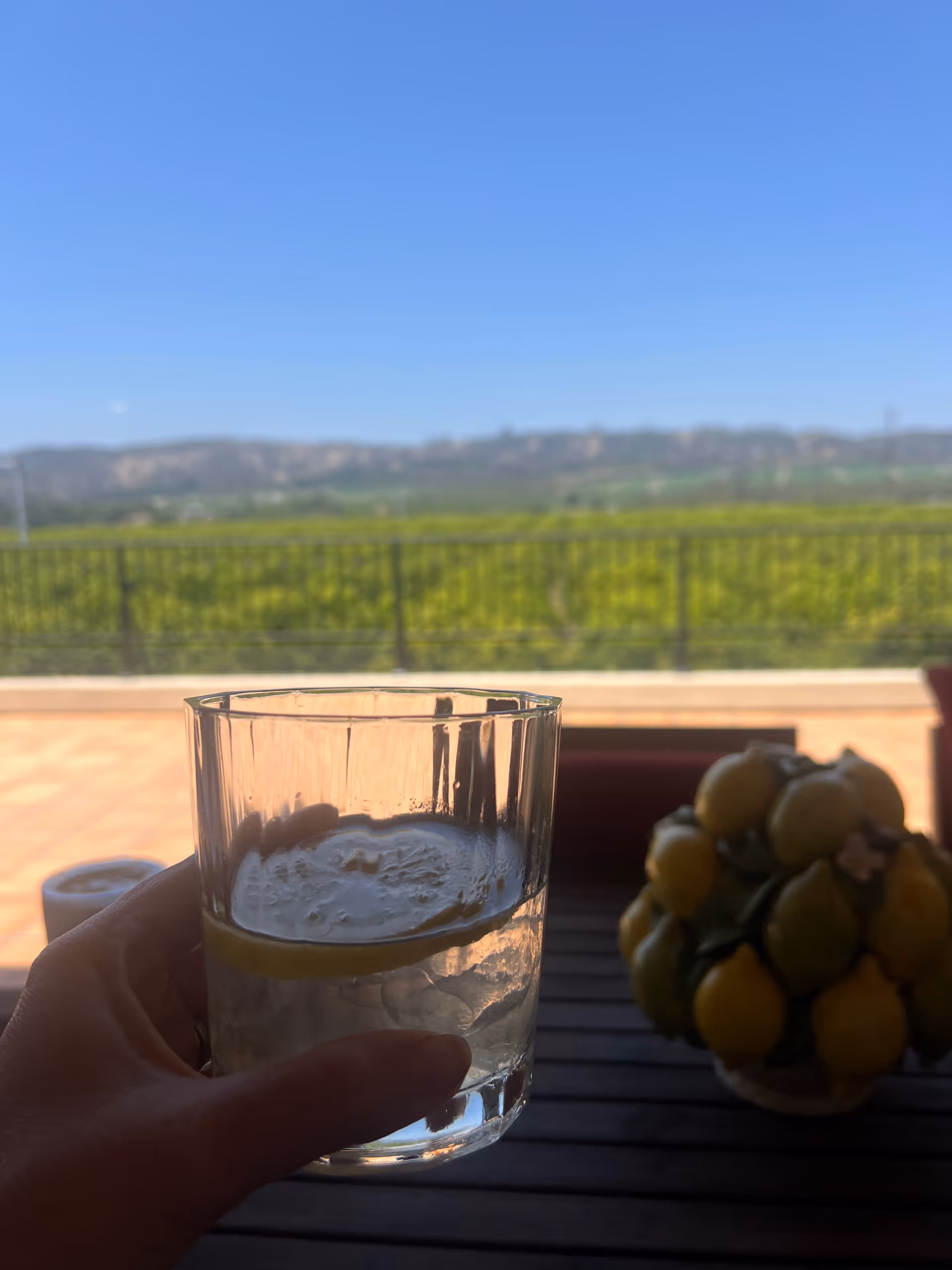 Hand holding a glass with a lemon slice on an outdoor patio with a vineyard view