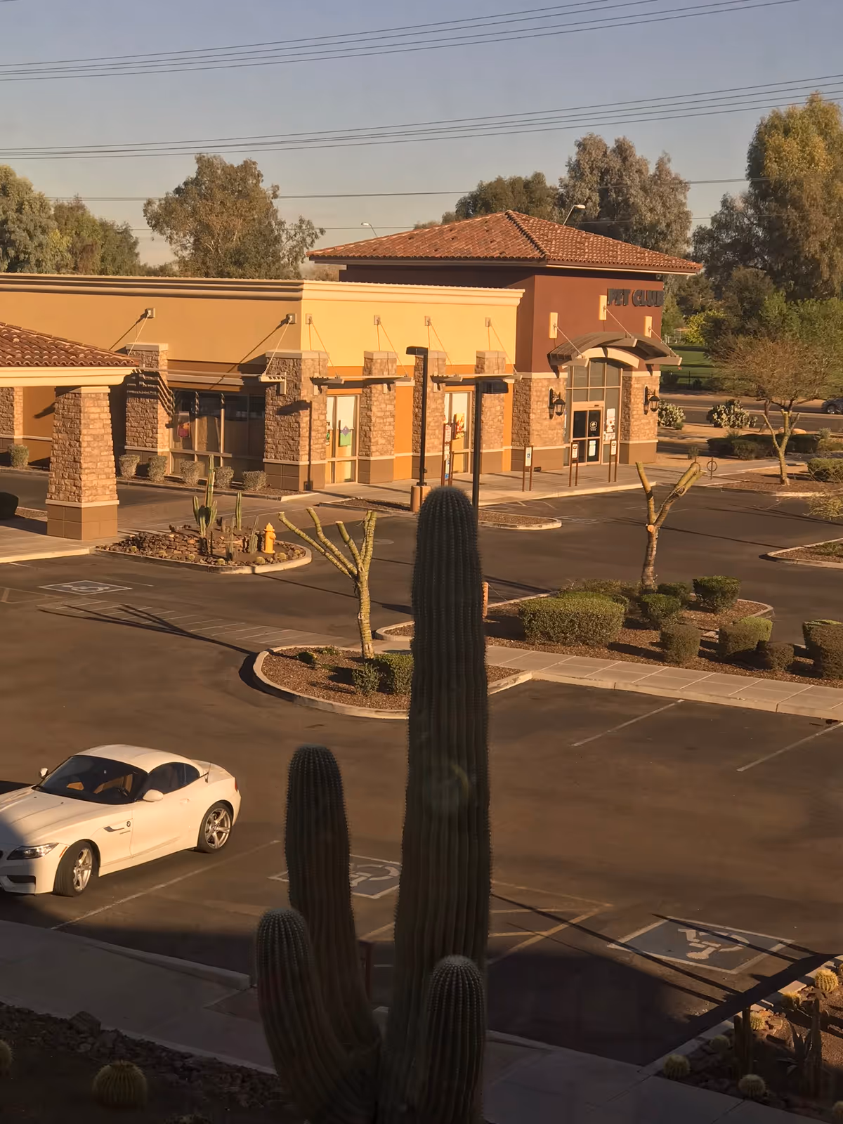 Exterior view of Golden Heart Senior Care facility with cactus landscaping and parked car.