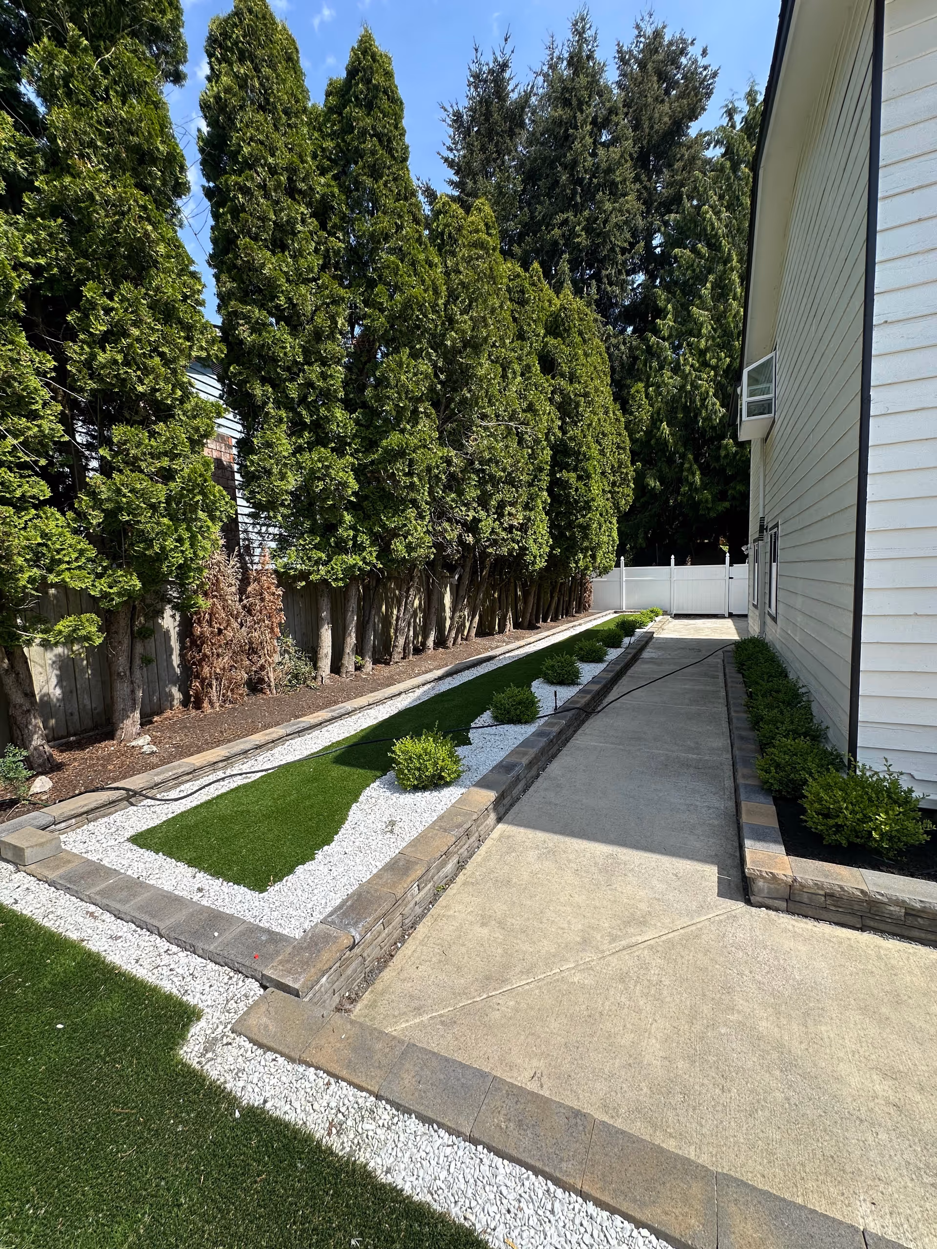 Exterior walkway beside the building with tall evergreens, manicured shrubs, and white gravel.