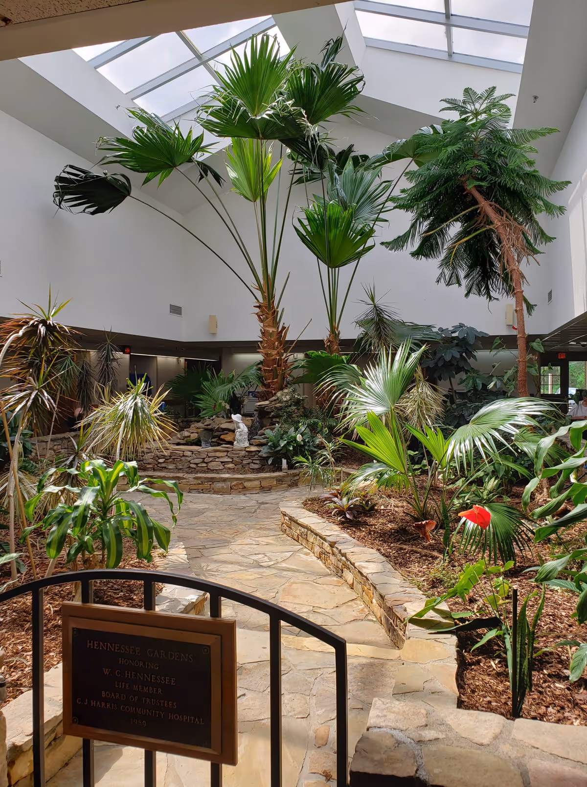 Indoor atrium garden with tall palm trees under a skylight, a stone walkway and planted beds with a small plaque in the foreground.