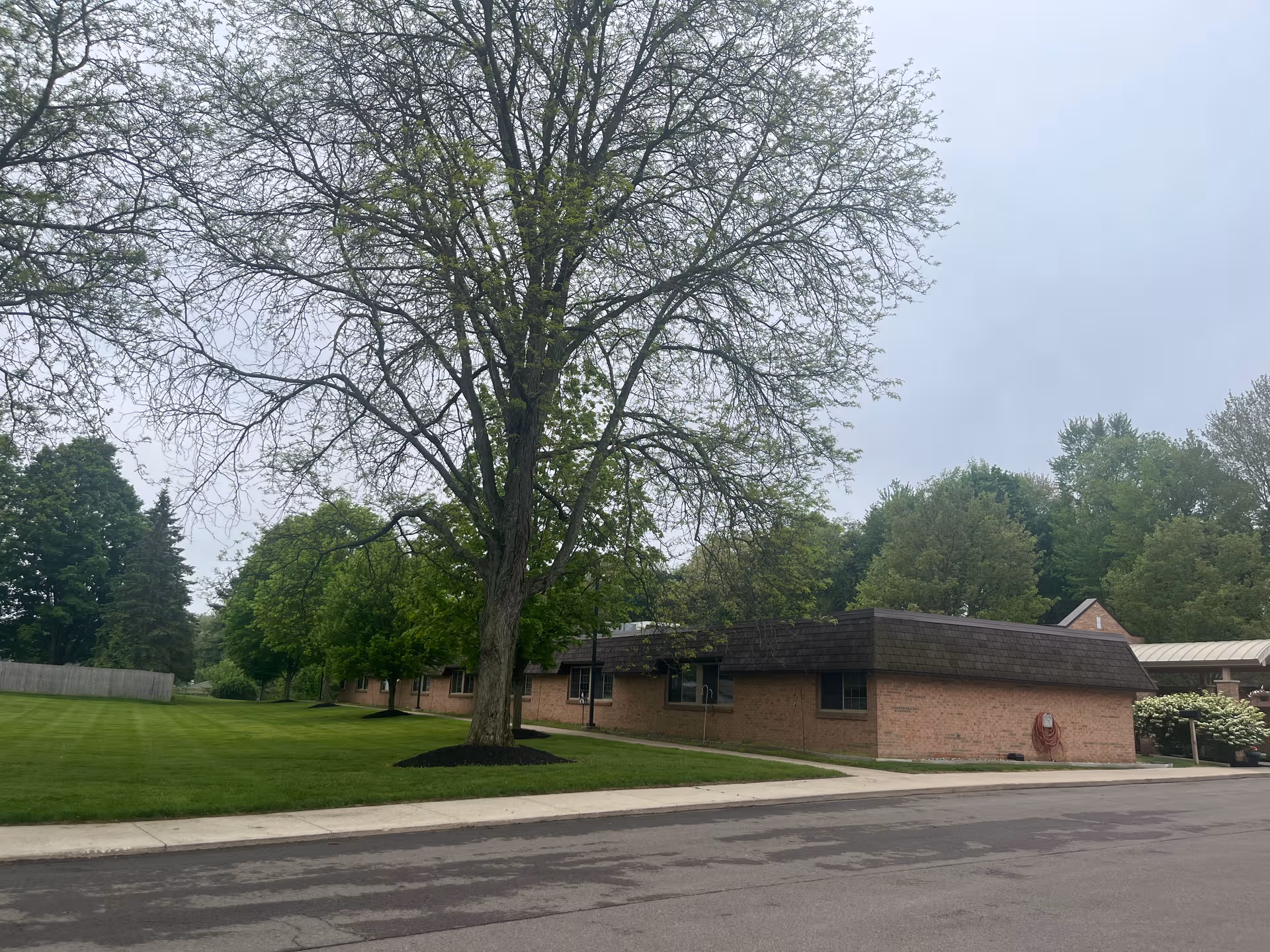 Brick nursing facility with a large tree, green lawn, and street in front