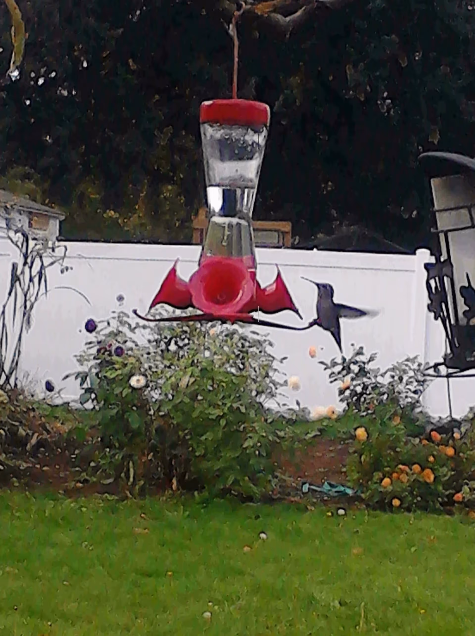 A red hummingbird feeder hanging in a backyard with a hummingbird hovering near it above a grassy lawn and flowerbeds.