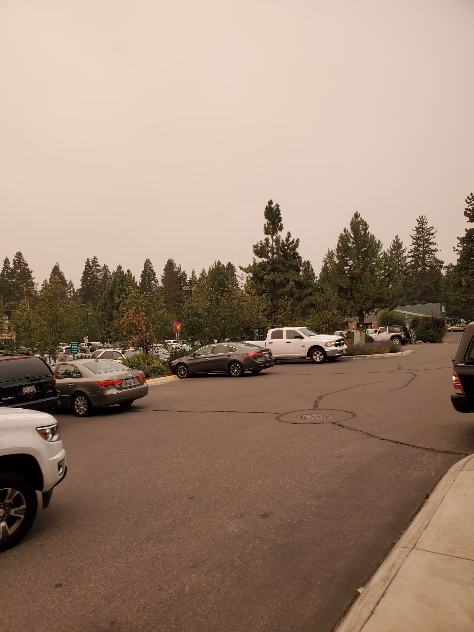 A parking lot with several cars and tall trees in the background under a pale sky.