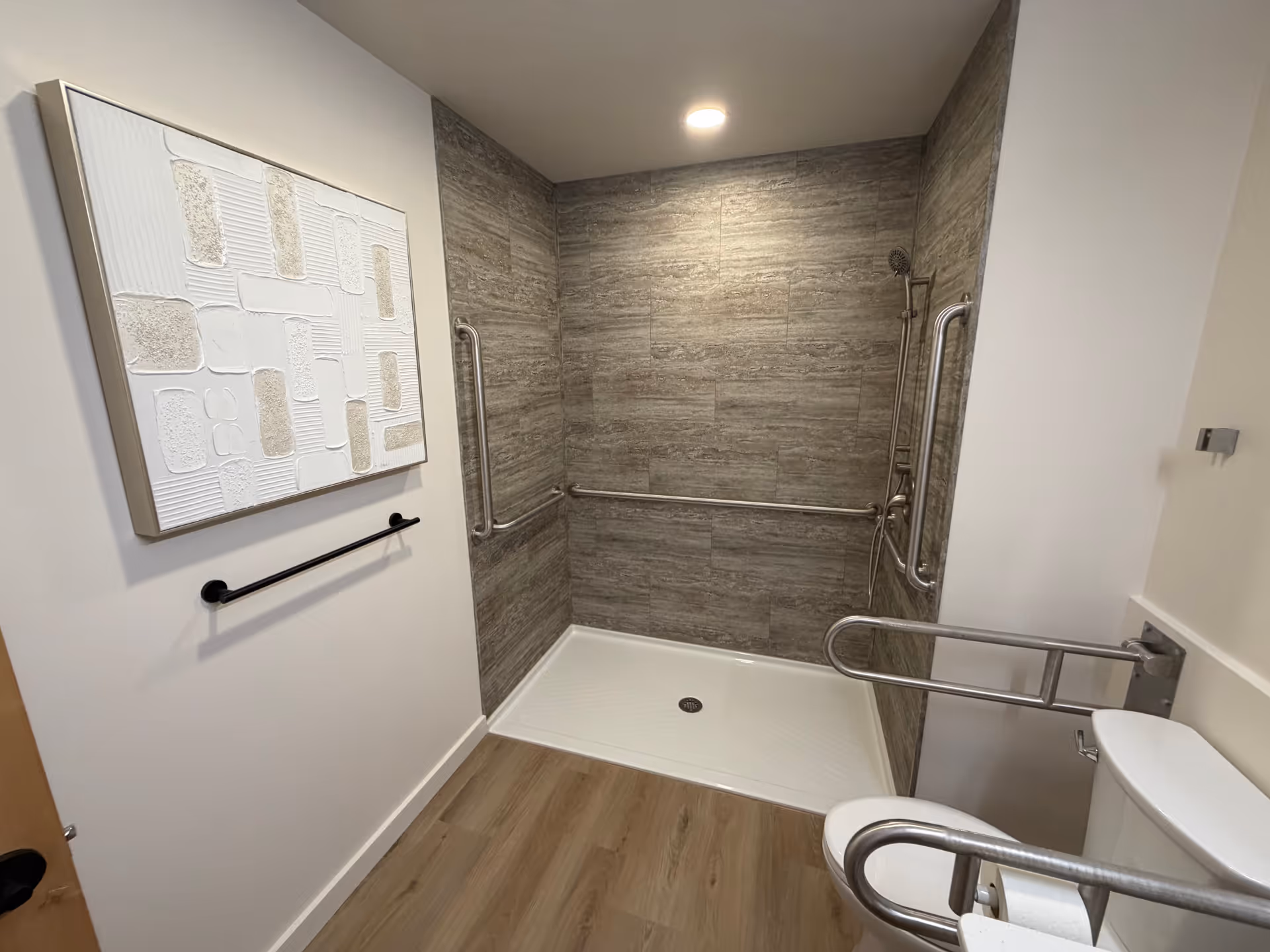Accessible bathroom featuring a grey tiled shower, grab bars, and a wall-mounted artwork.