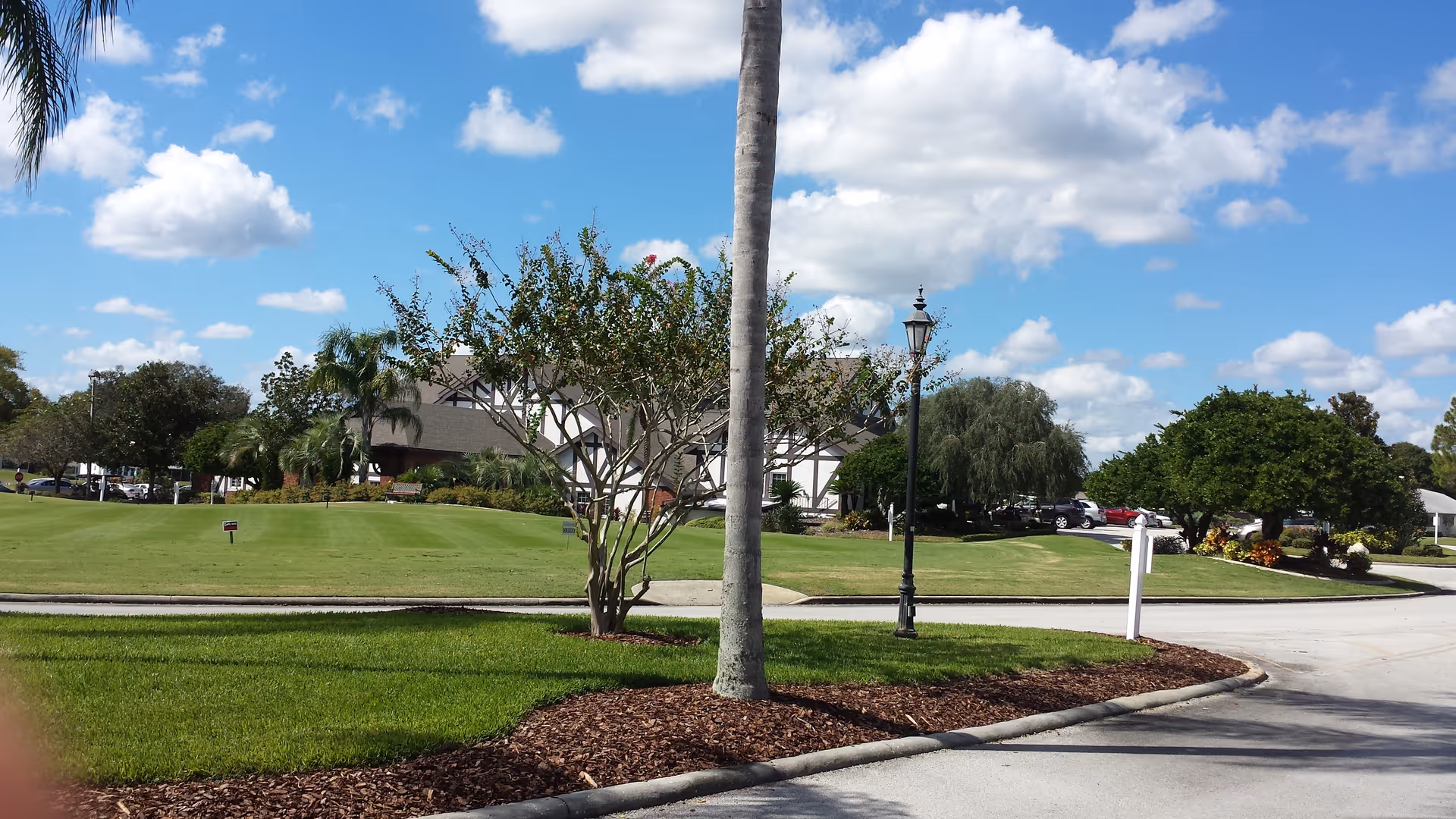 Well kept lawn, palm trees, and a building front under a blue sky at Highland Fairways.