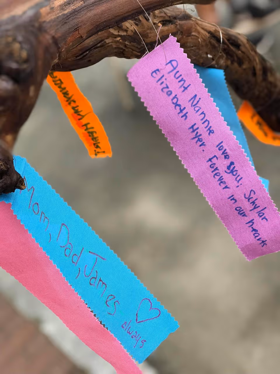 Close-up of colorful ribbons with handwritten names tied to a tree branch outdoors.