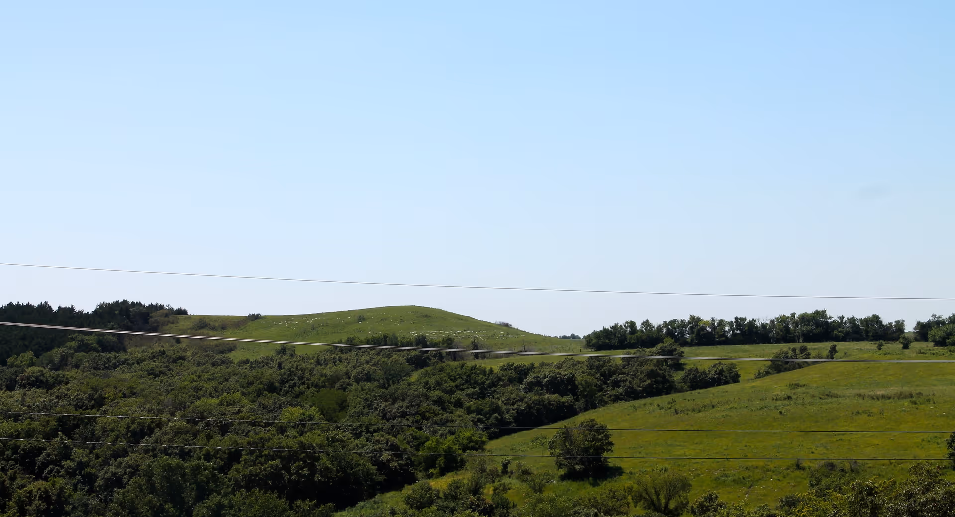 A scenic view of rolling green hills and dense trees under a clear blue sky with power lines crossing horizontally in the foreground.