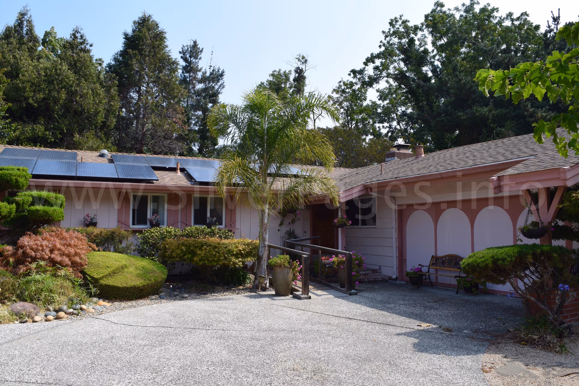 Single-story pink building with arched white doors, palm trees, and solar panels on the roof.