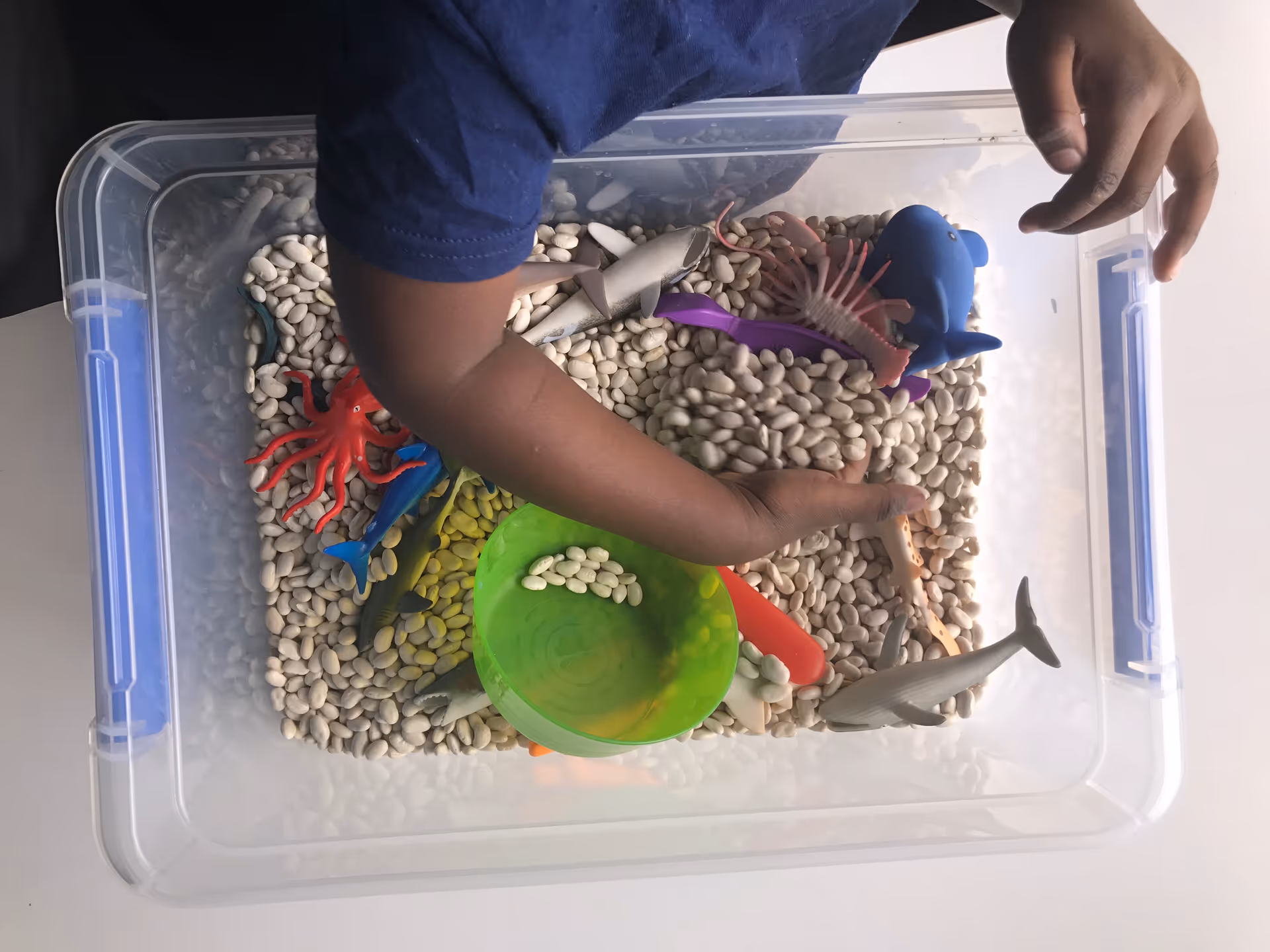 Child's arms reach into a transparent sensory bin with shells and toy sea creatures.