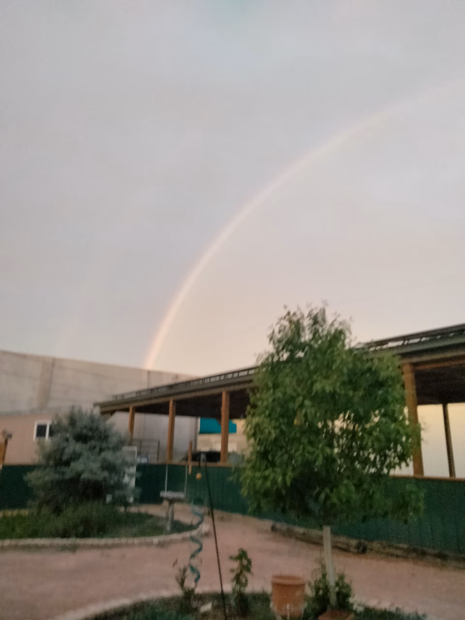 Rainbow over Delta House exterior with trees and garden in foreground