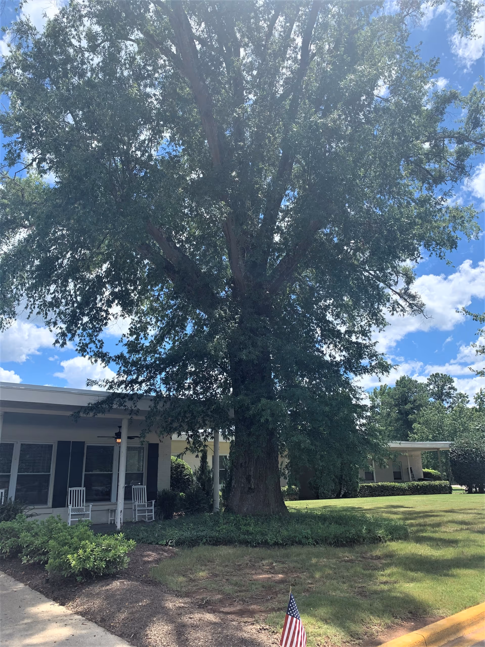 Exterior view of Plantation Manor with a large tree and front porch.
