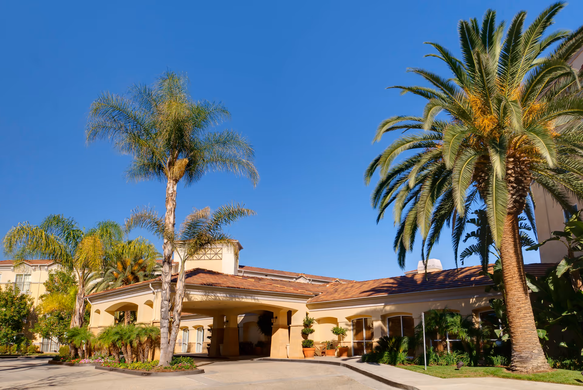 Exterior view of The Village at Sherman Oaks senior living facility with a covered entrance, palm trees, and clear blue sky.