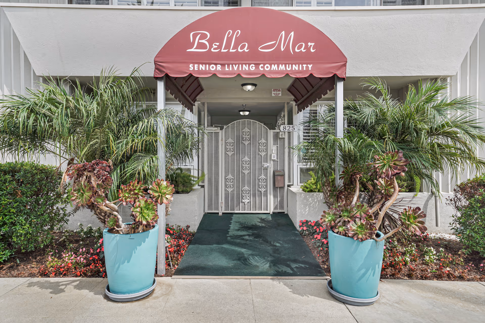 Entrance to Bella Mar Senior Living Community with a red awning displaying the name. The entrance has a green carpeted walkway flanked by large blue pots containing palm plants and succulents. The building is white with windows on either side of the entrance.