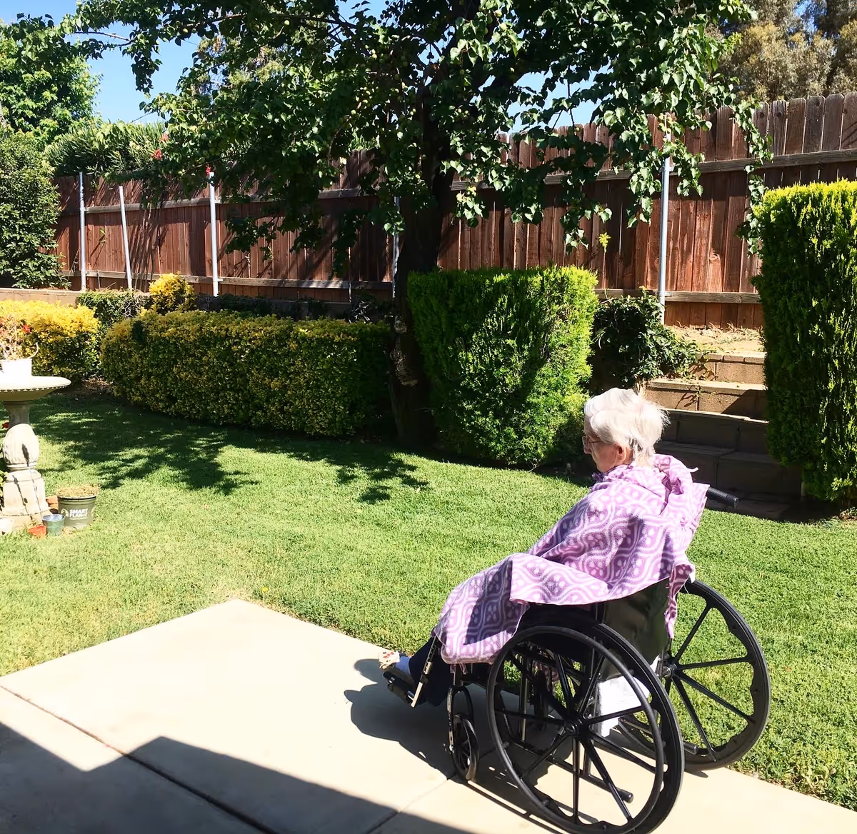 An elderly person in a wheelchair covered with a purple patterned blanket is sitting on a patio facing a green garden with trimmed bushes, a tree, and a wooden fence under a clear blue sky.