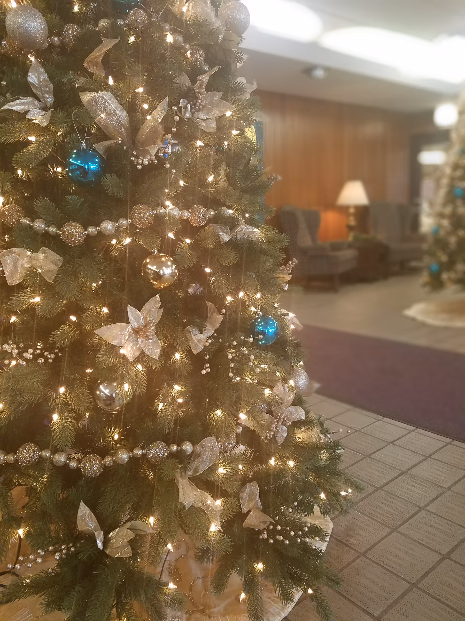 Decorated Christmas tree with lights in a senior living facility lobby.