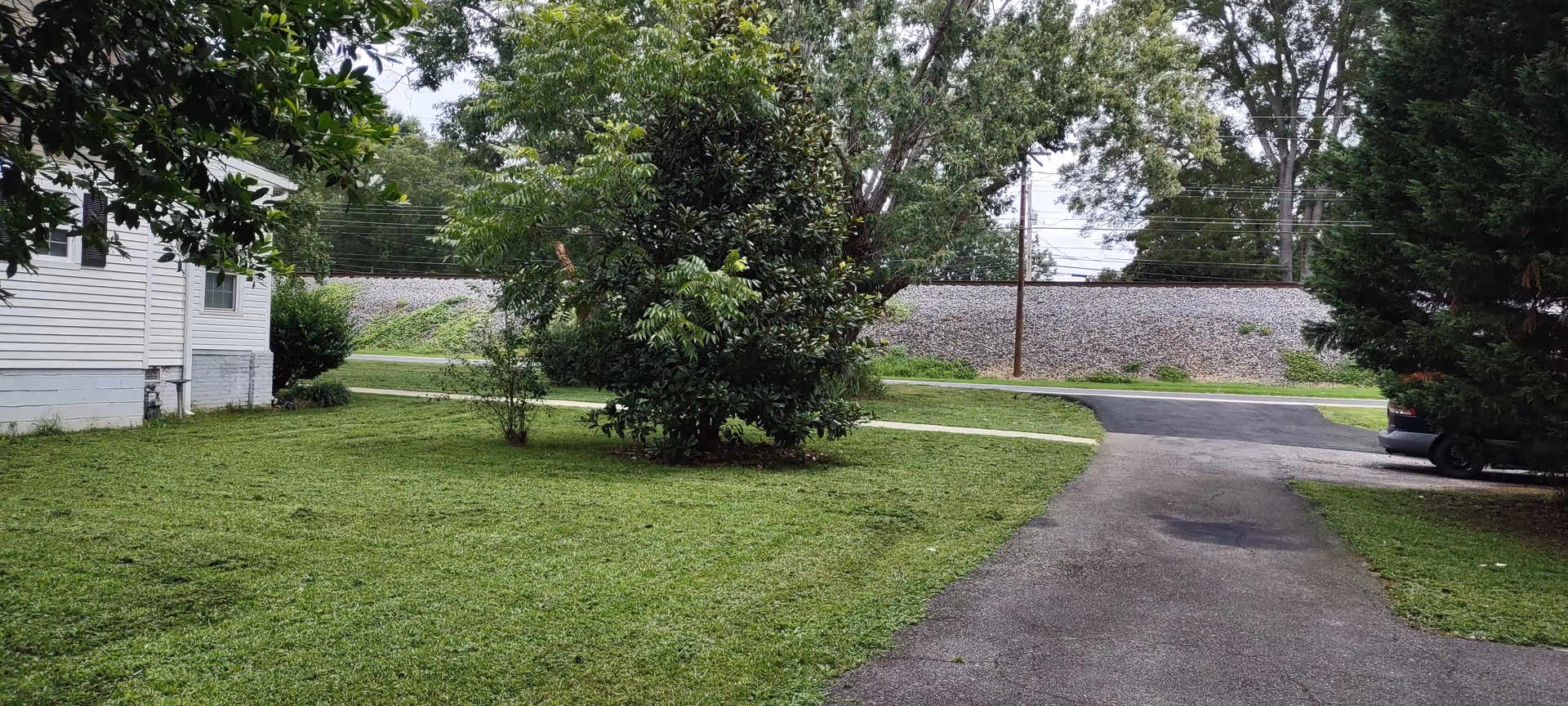 A grassy lawn with trees, a driveway, and a building exterior by a road.