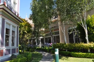 Sunny courtyard walkway with trees and hedges beside a pink-trimmed building.