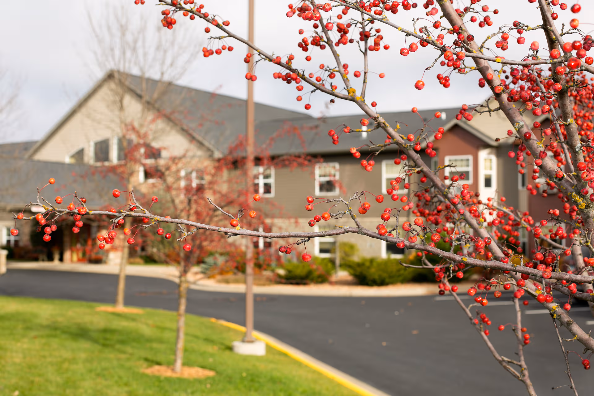 Front exterior of River Grand Senior Living building with red berry branches in foreground.