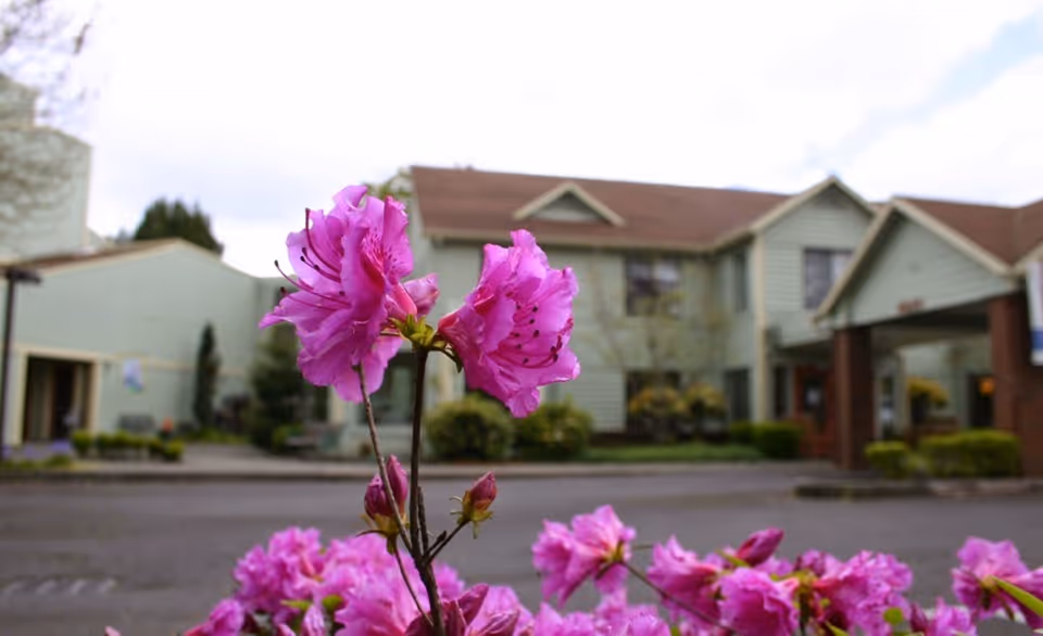 Pink flowers in foreground with Willson House Residential Care building exterior in background.