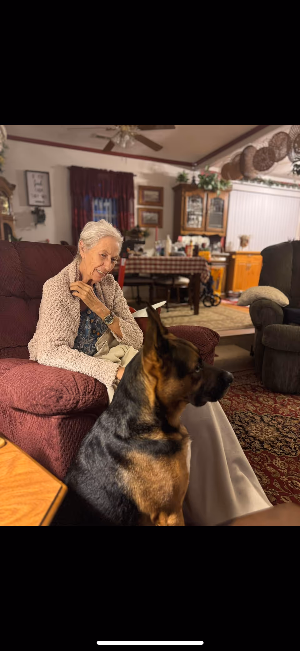 Elderly woman sits in a burgundy armchair while a German Shepherd stands nearby indoors.