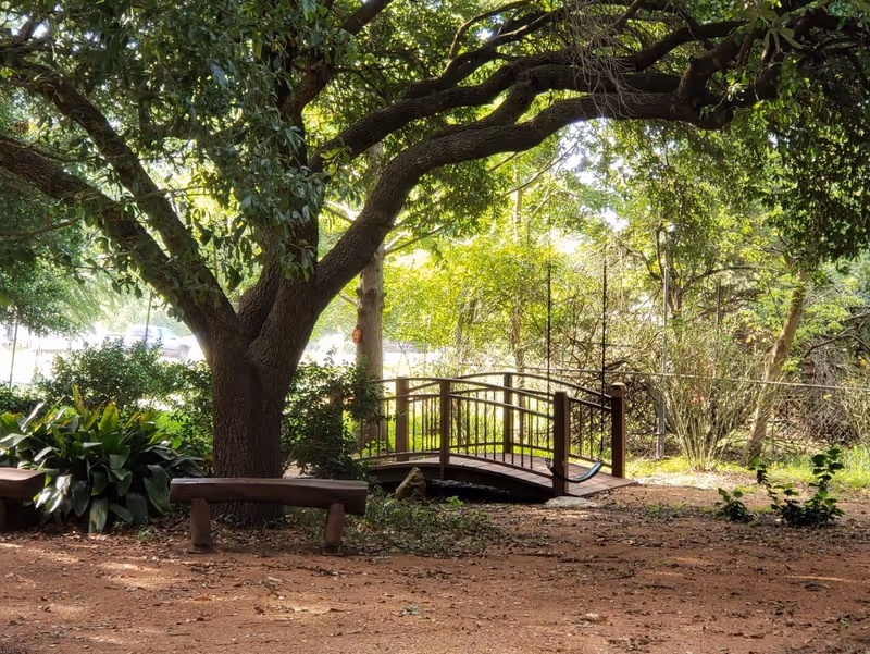 A peaceful outdoor garden area with a large tree providing shade, a small wooden bridge over a dry patch, and two wooden benches surrounded by greenery and plants.